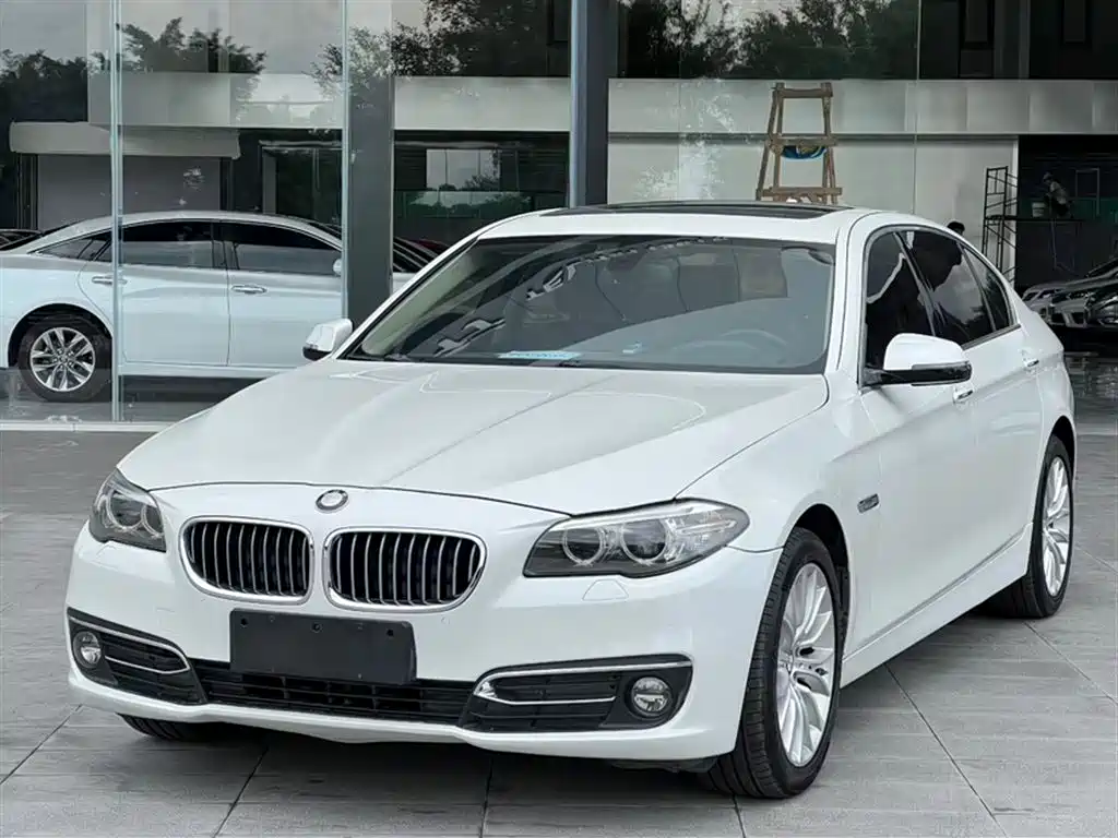 BMW 5 Series 2014 525Li Luxury Design Package фото 2