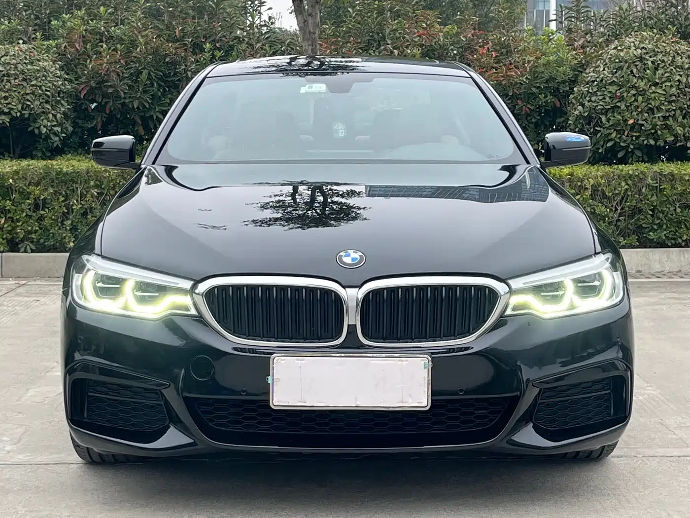 BMW 5 Series 2020 530Li Leading M Sport Package фото 2