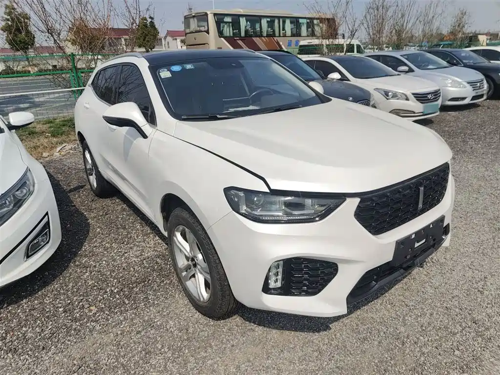 WEY VV5 2019 2019 1.5T 2WD Style Pioneer