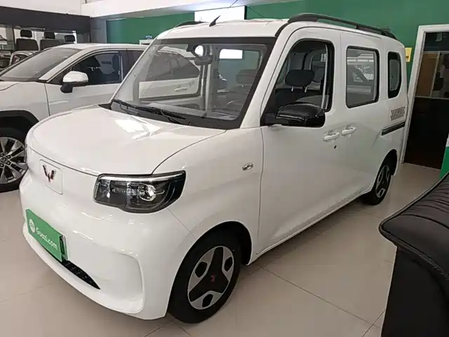  Wuling Motors Wuling Zhiguang NEV 2025 Model Comfort