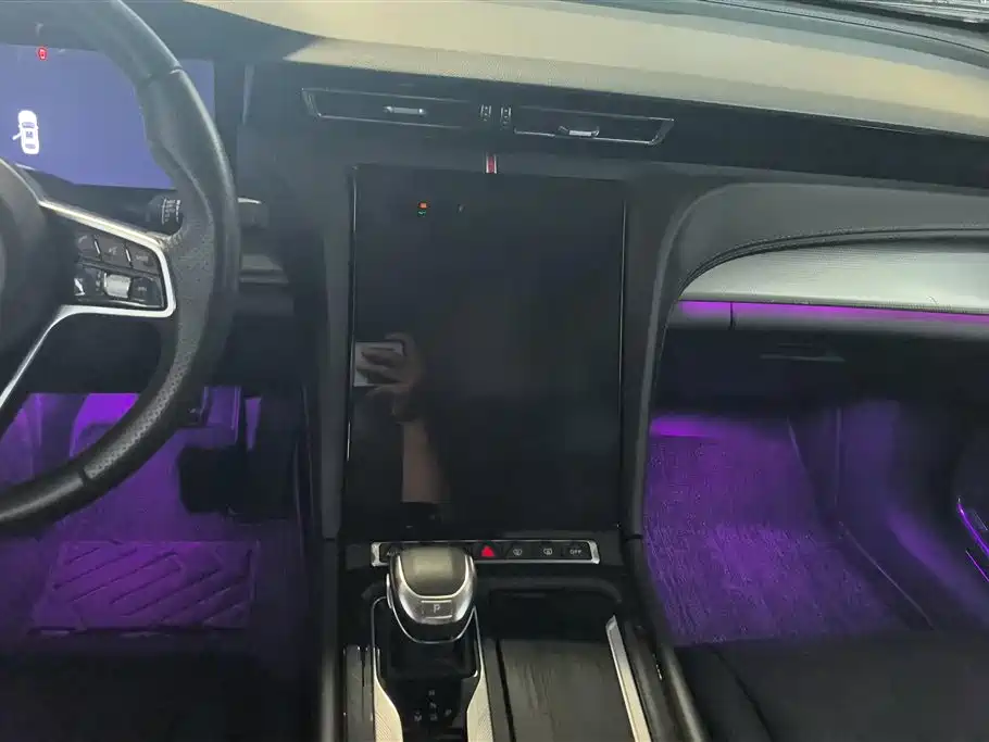 Hongqi H5 2023 2.0T Auto Smart Connect Flag Comfort фото 13