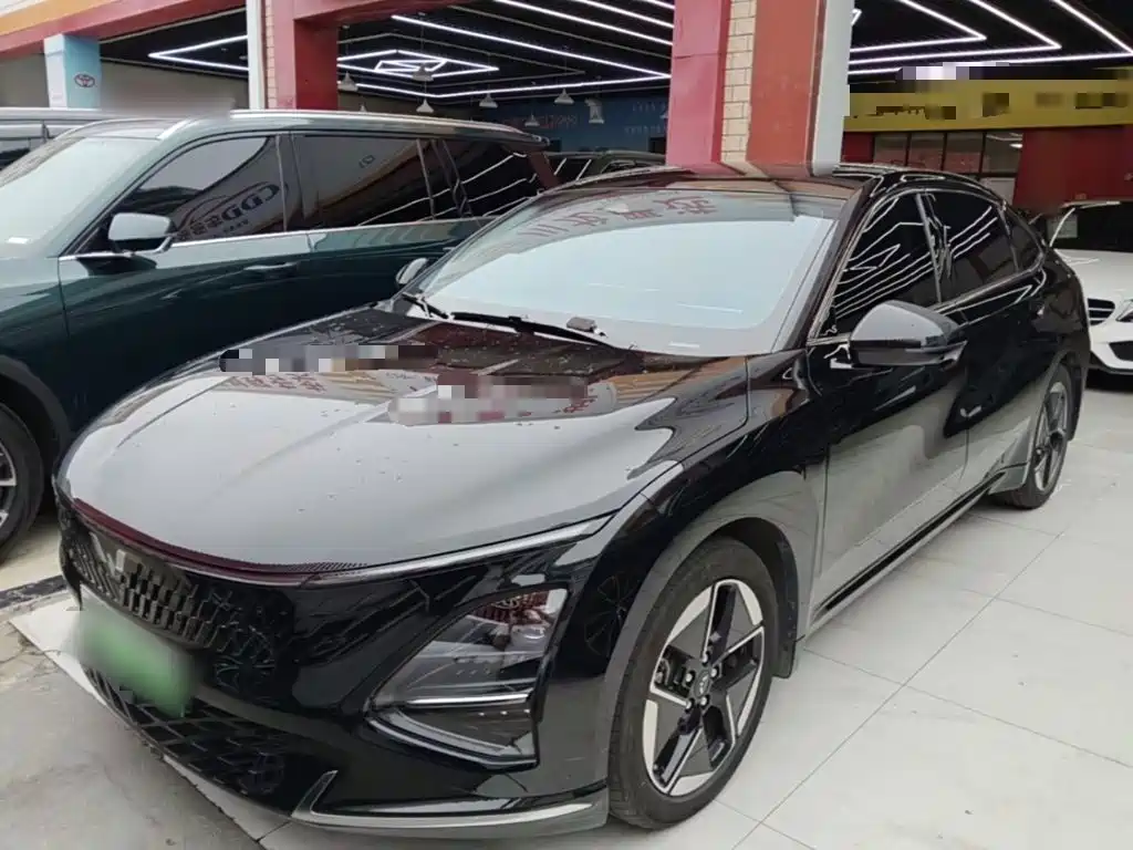 Wuling Motors Wuling Xingguang 2024 Co-Creation Edition 150 Pilot