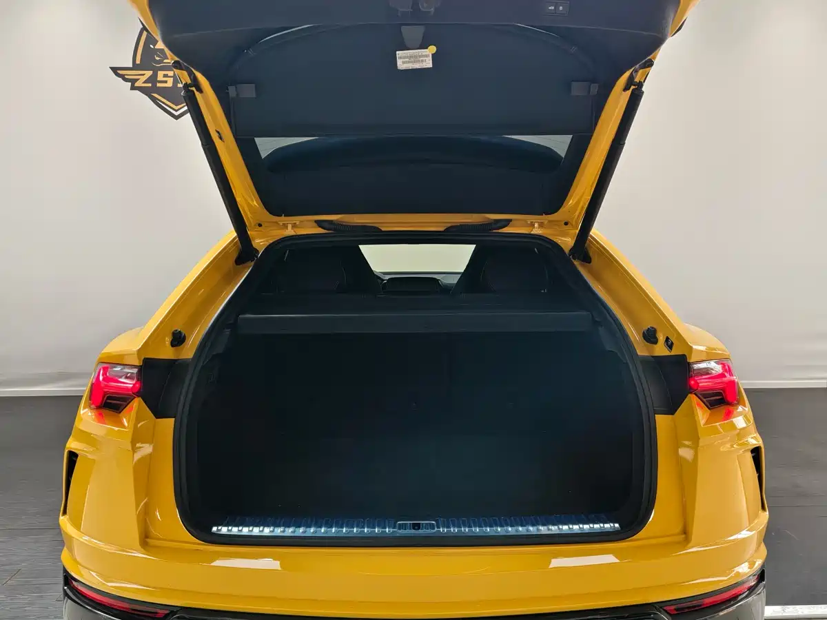 Lamborghini Urus 2021 4.0T V8 фото 18