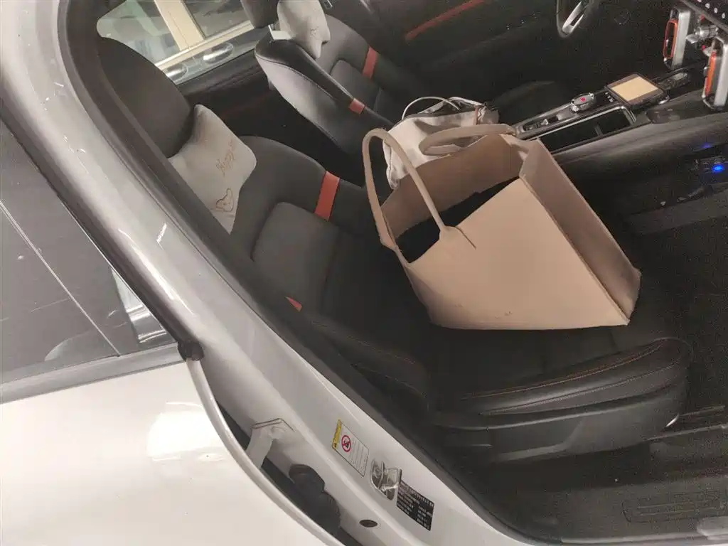 Haval Big Dog 2021 1.5T DCT 2WD Labrador Edition фото 25