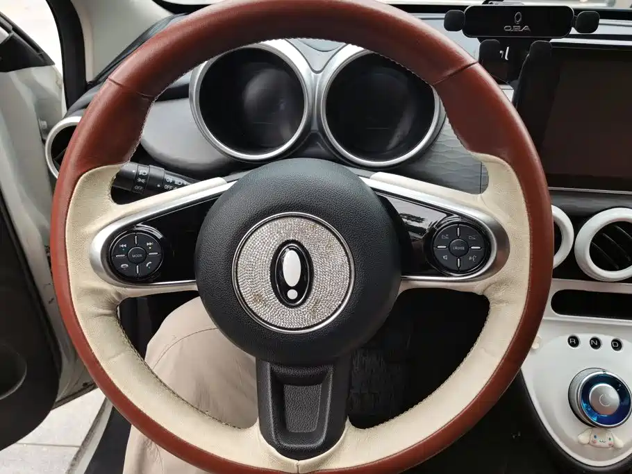 Ora Black Cat 2022 2022 Facelift 301km Pet Edition LFP Version