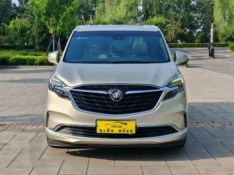 Buick GL8 2022 ES Landmark 653T Luxury фото 2