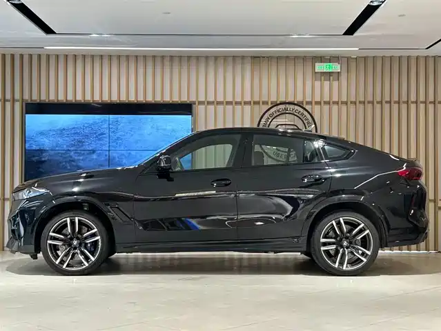 BMW X6 M, фото 2