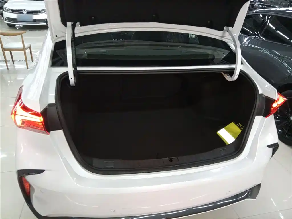 BUICK WEILANG