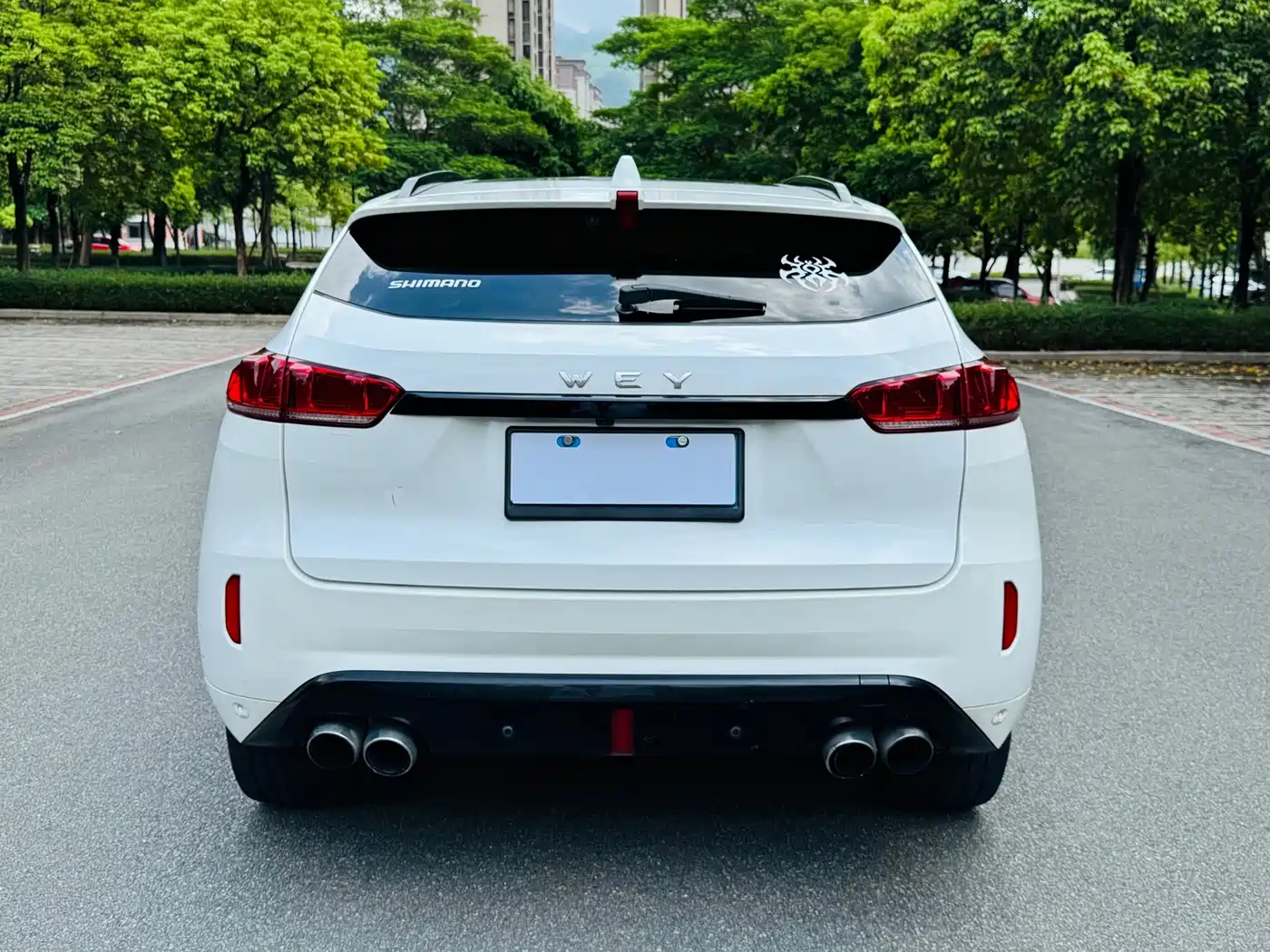 WEY VV7 2017 2017 2.0T Flagship
