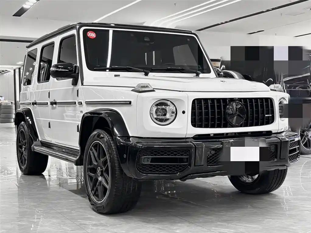 Mercedes-Benz G-Class 2019 G 500 фото 3