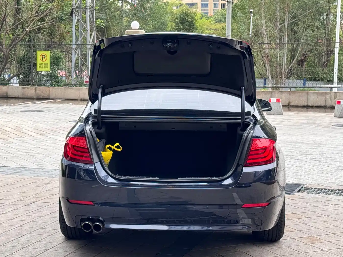 BMW 5 Series 2011 528Li Luxury фото 7