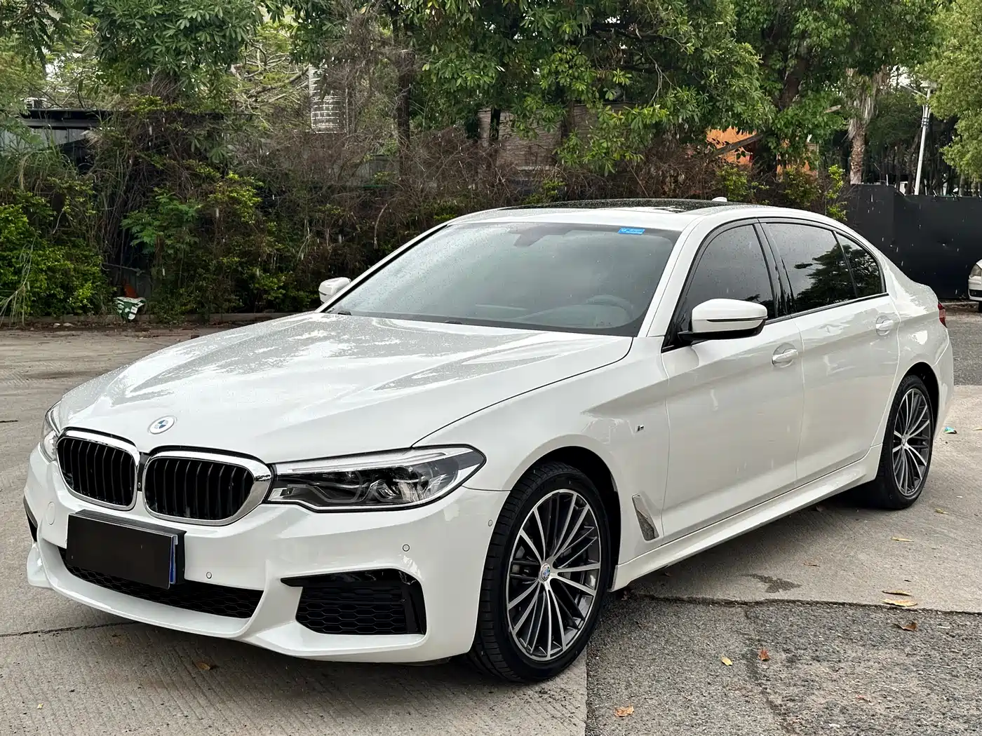 BMW 5 Series 2020 530Li Exclusive M Sport Package