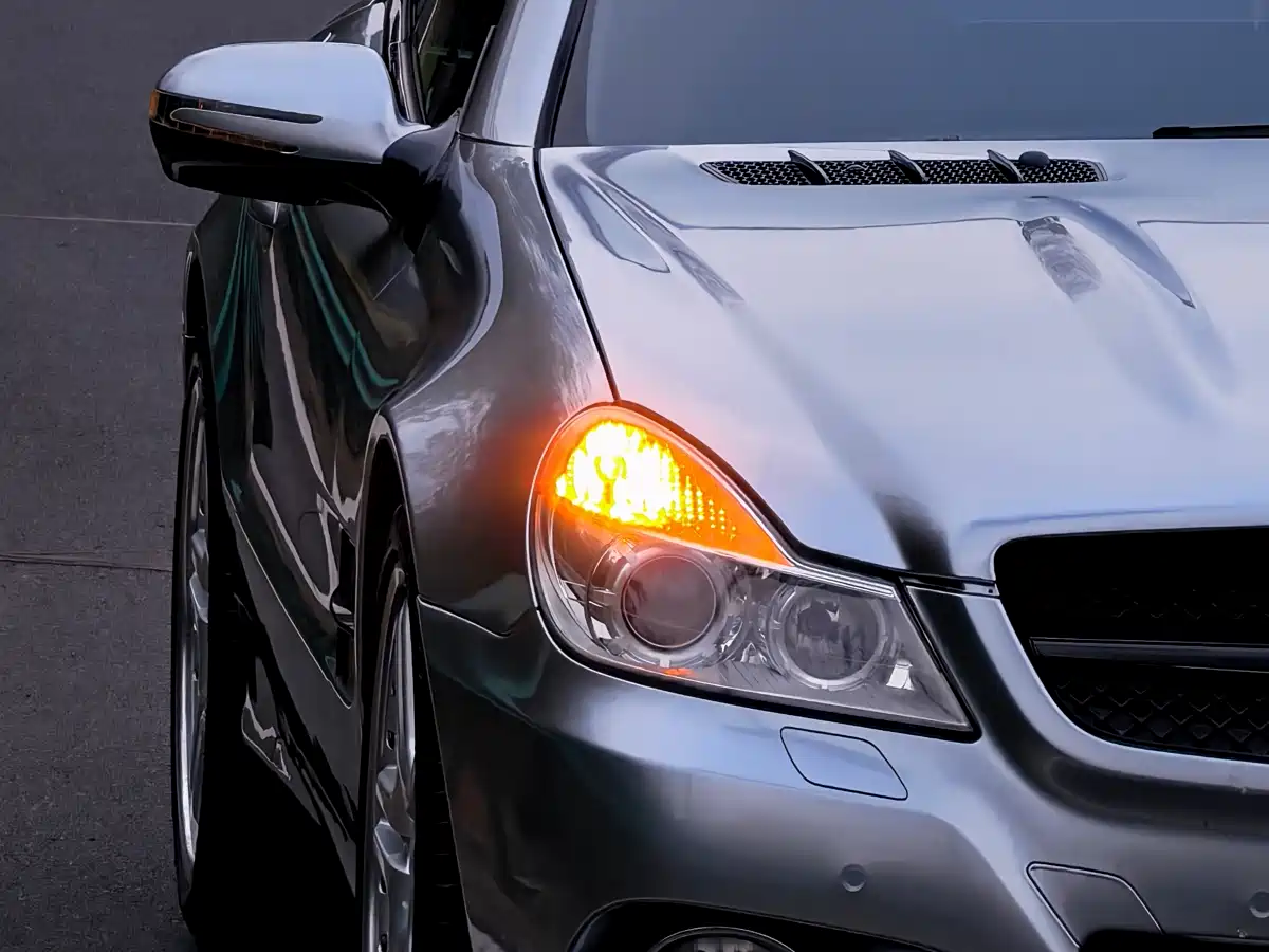 Mercedes-Benz SL-Class 2010 SL 300 фото 6