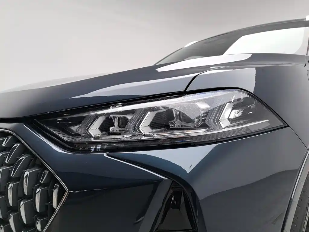WEY Mocha 2021 2021 2.0T 2WD Extra Rich Edition
