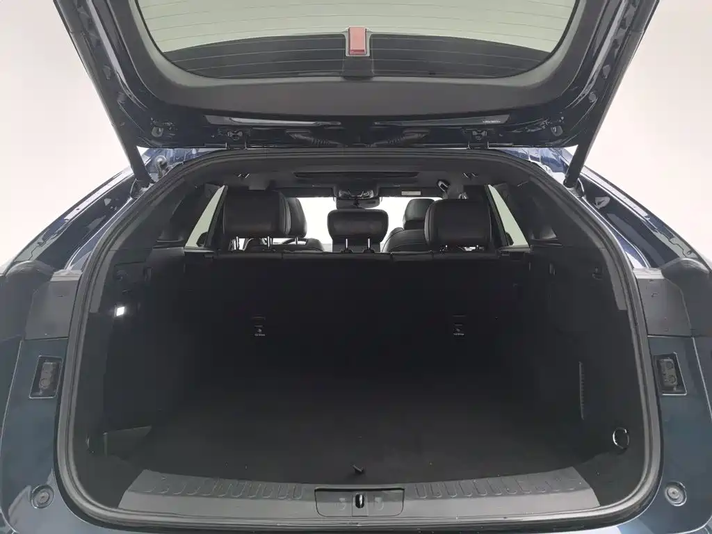WEY Mocha 2021 2021 2.0T 2WD Extra Rich Edition