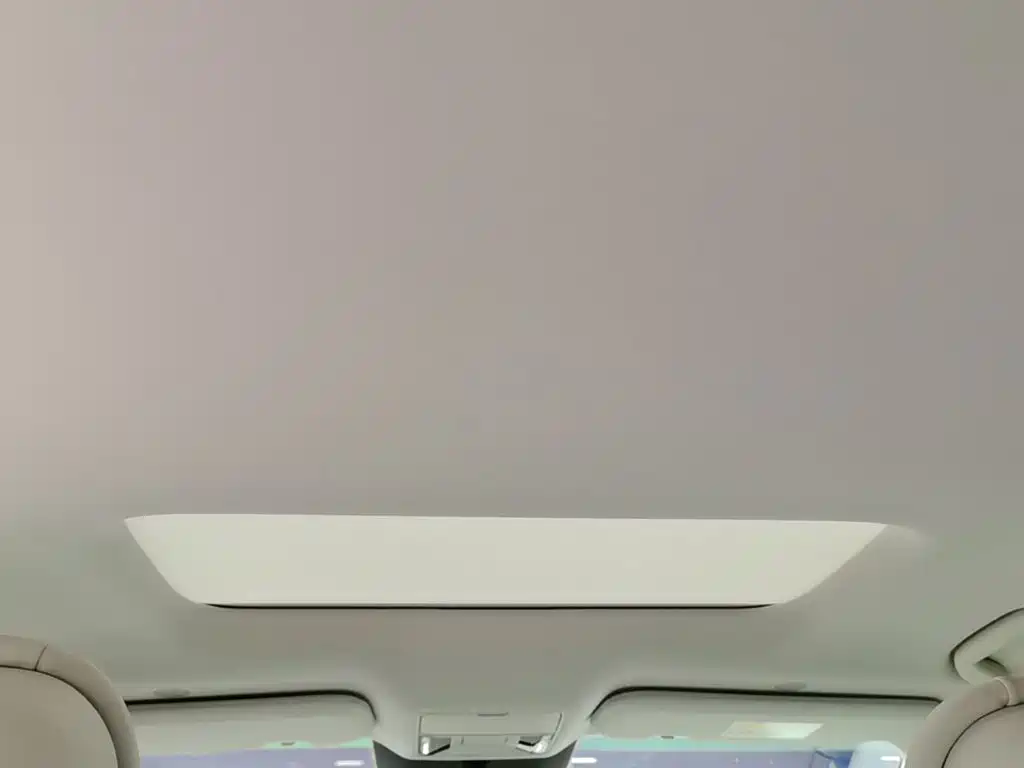 BYD Xia 2025 2025 DM-i 1.5T 180km Surpass Edition
