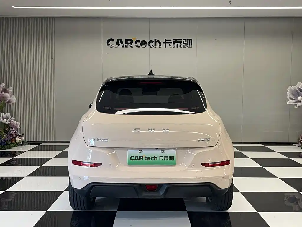 Ora Good Cat 2025 2025 Model 430km Luxury