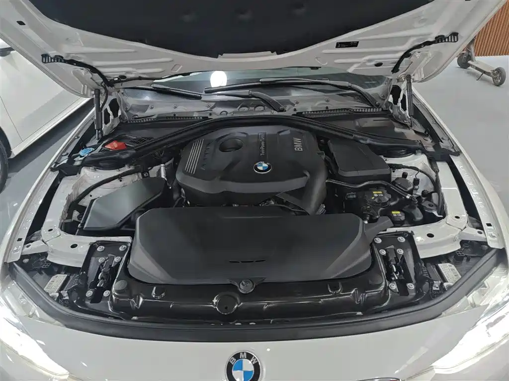 BMW 3 Series 2017 320Li Fashion фото 16