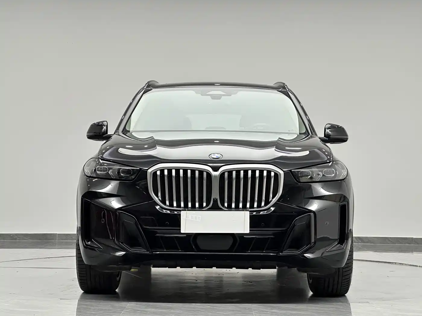 BMW X5, миниатюра 2