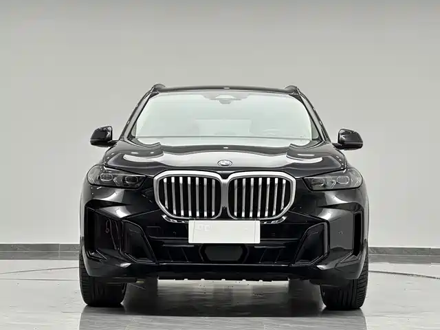 BMW X5 2023 xDrive 30Li Premium M Sport Package — фото 2