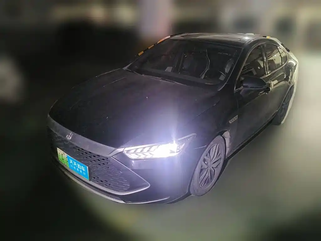 BYD Qin PLUS 2021 DM-i 55KM Flagship