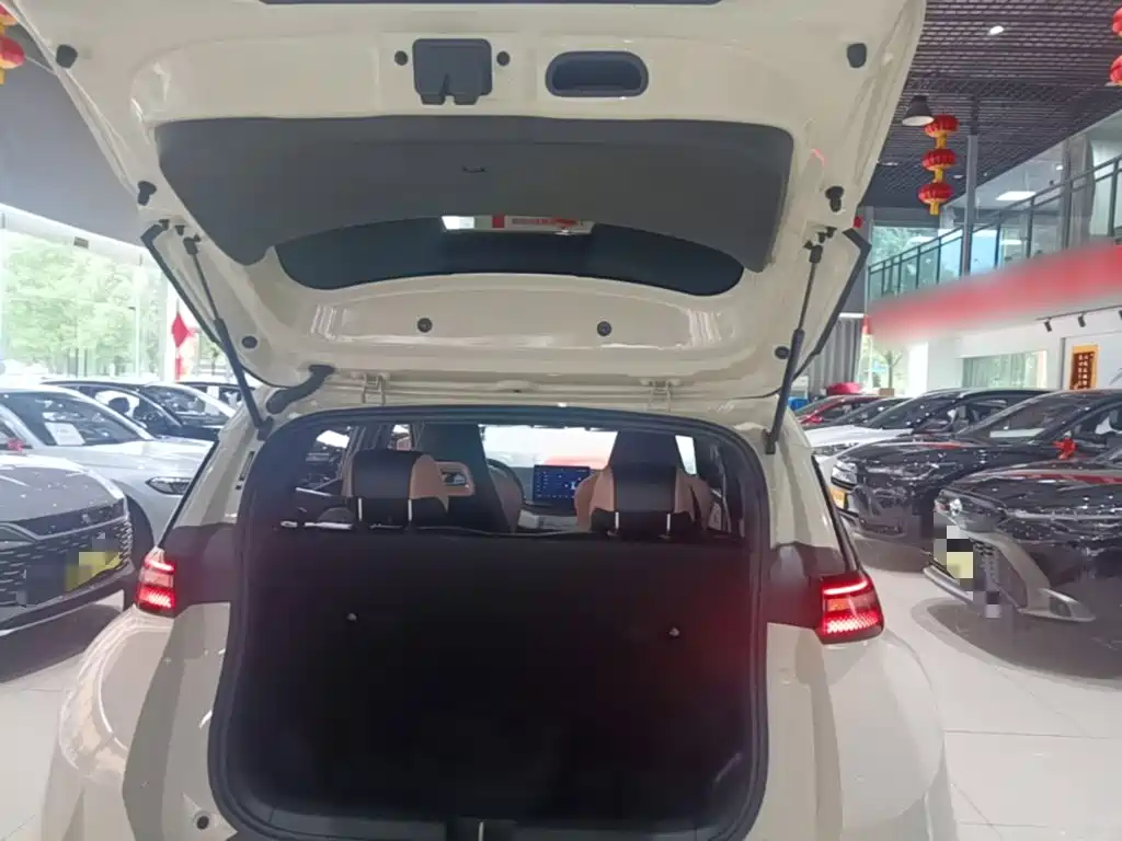 BYD Seagull 2026 2025 Smart Drive Edition 305km Vitality Version
