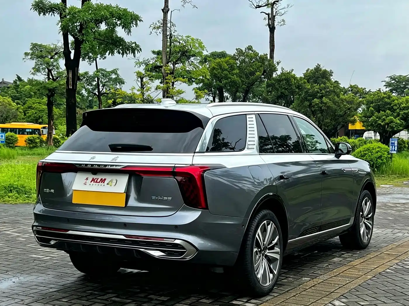 2023 Hongqi E-HS9