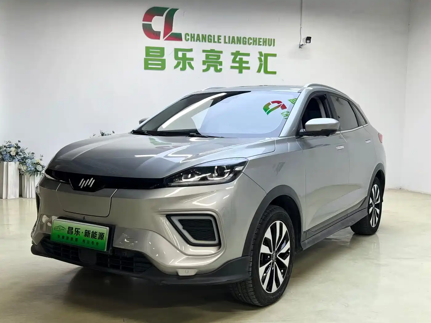 WEIMA AUTOMOBILE WEIMA EX5