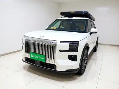 Zeekr 9X