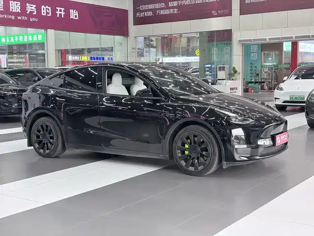 Tesla Model Y 2021 Model Long Range AWD — фото 2