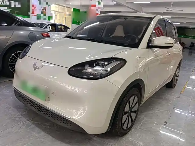  Wuling Motors Wuling Bingo 2023 Model 333km Joy+ Version