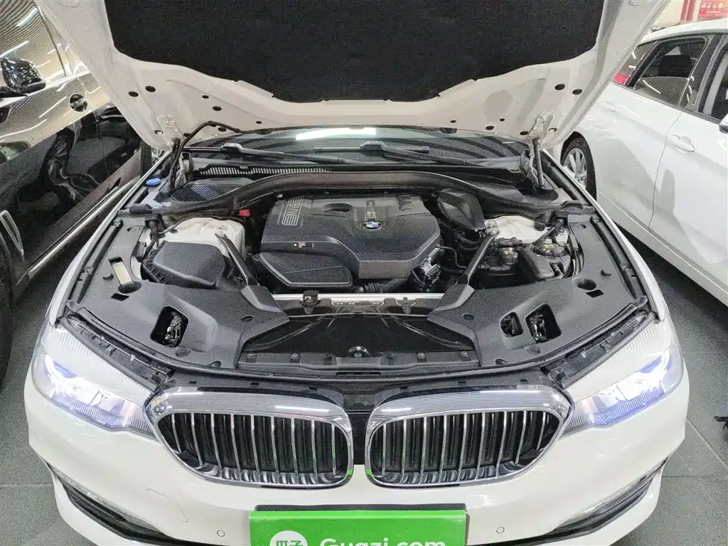 BMW 5 Series 2018 528Li Launch Special Edition фото 20