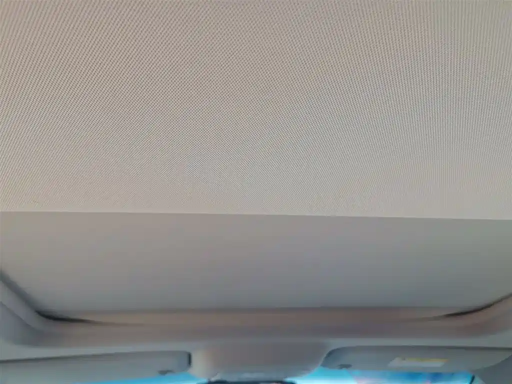 Buick GL8 2021 Land Business Class 652T Luxury фото 18