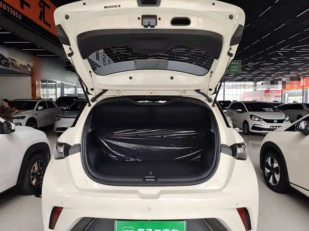 BYD Dolphin 2026 2025 420km Freedom Edition