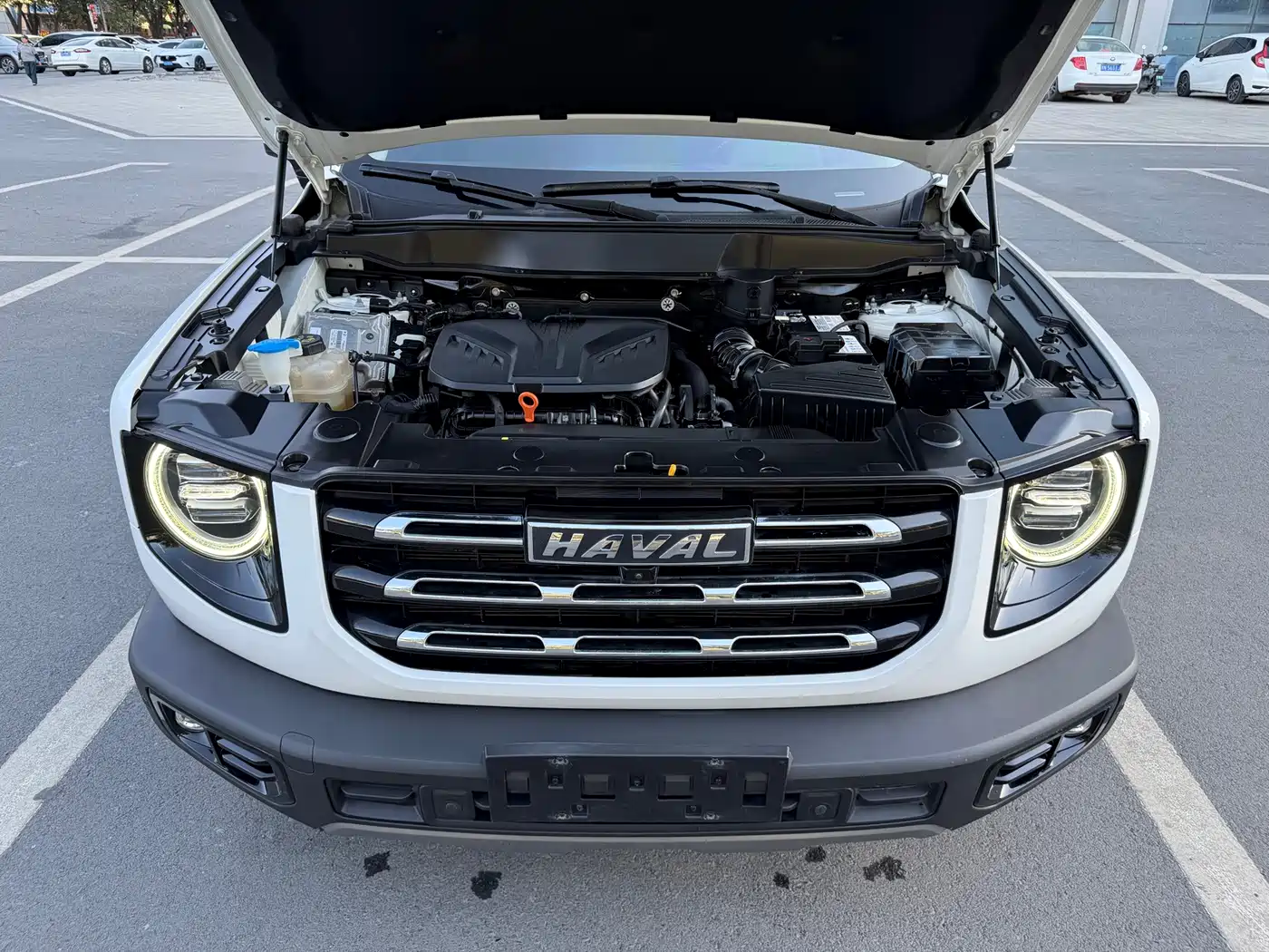 Haval Dargo 2021 2021 2.0T DCT 4WD Chinese Rural Dog Edition
