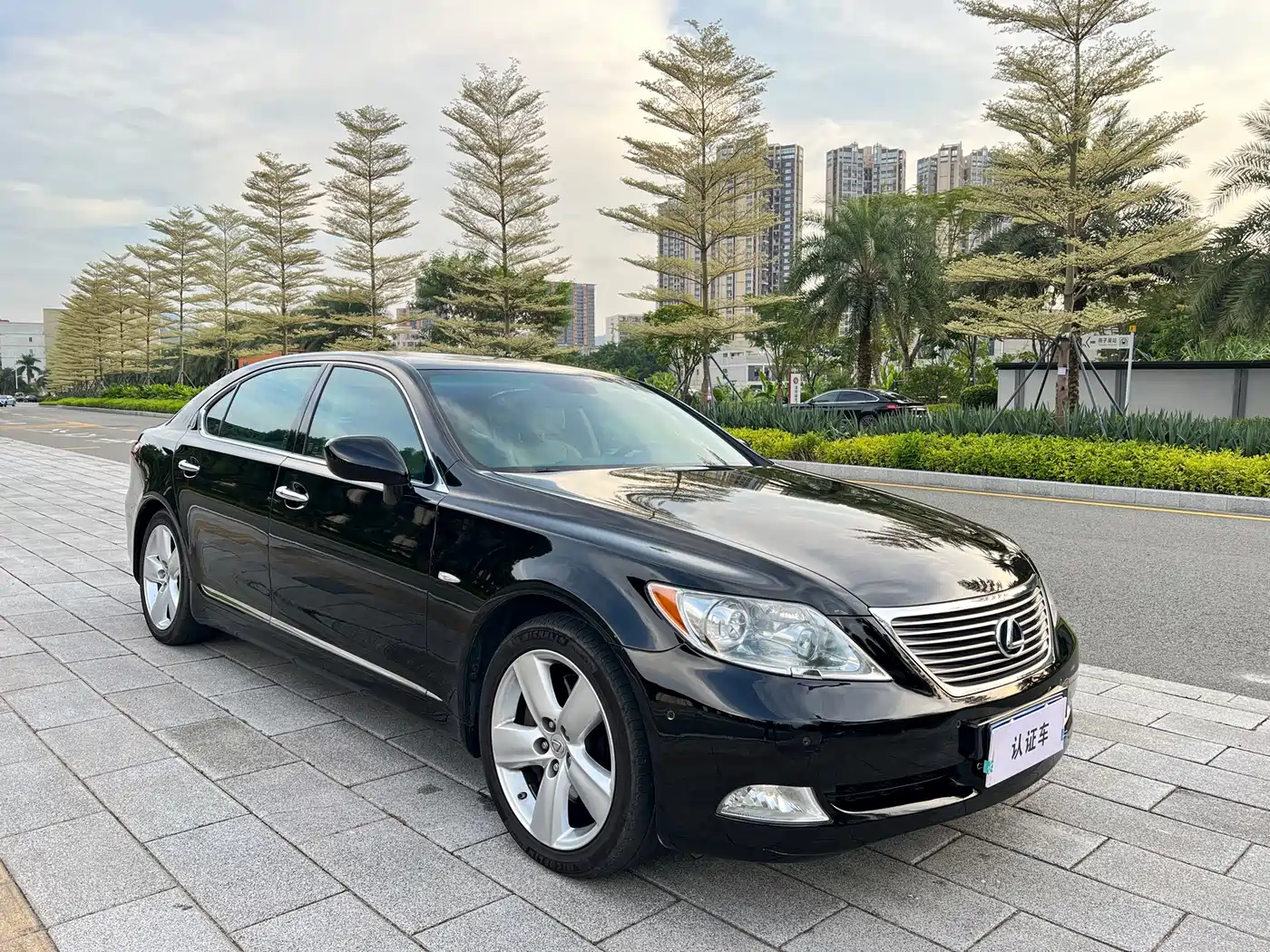 Lexus LS 2006 2006 460L Premium Edition