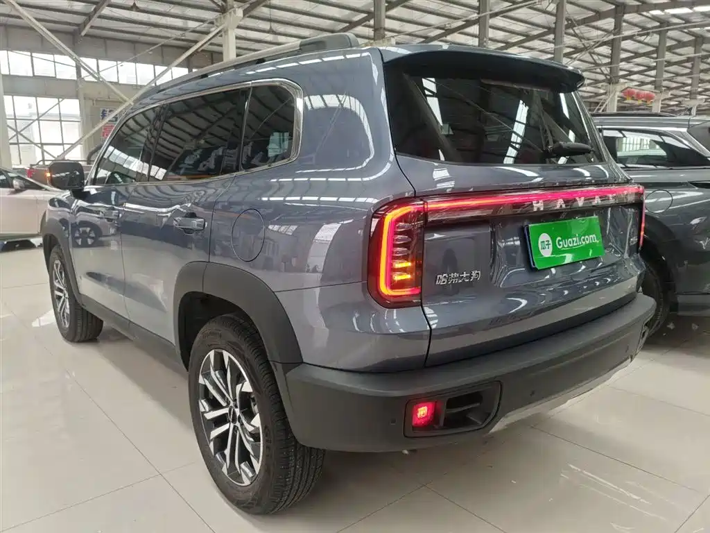 Haval Big Dog 2024 1.5T DCT Border Collie Edition фото 5