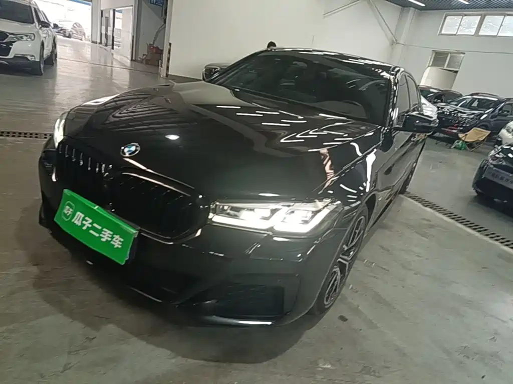 BMW 5 Series 2021 530Li Premium M Sport Package