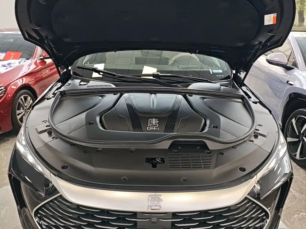 Фото 20 - BYD Tang New Energy