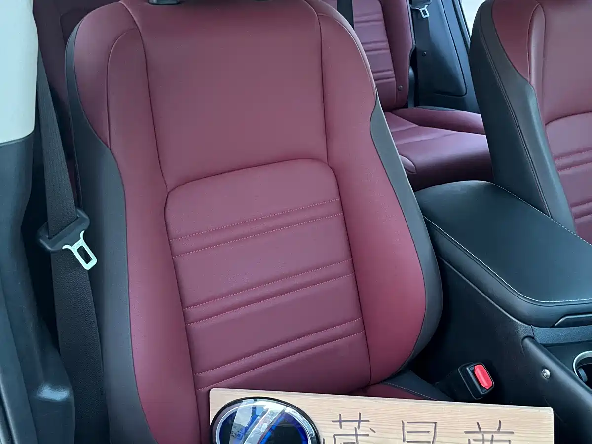Lexus NX 2018 Model 300 FWD Fengxing Edition фото 26