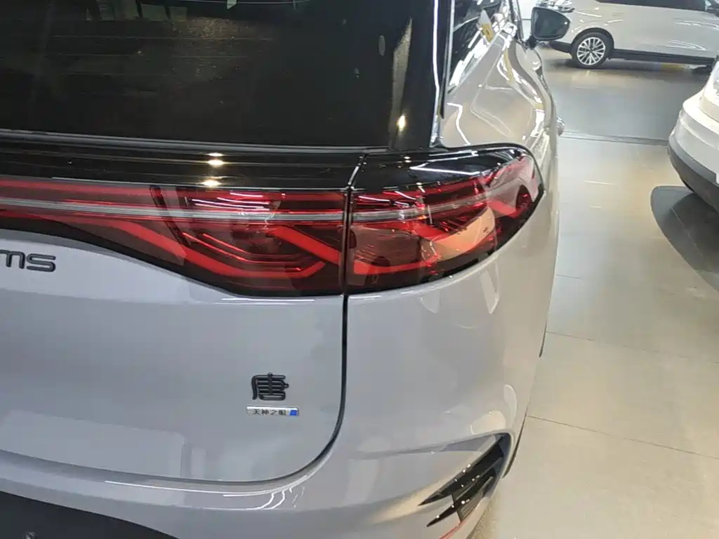 BYD Tang New Energy 2025 2025 Smart Driving Edition DM-i 115KM Flagship
