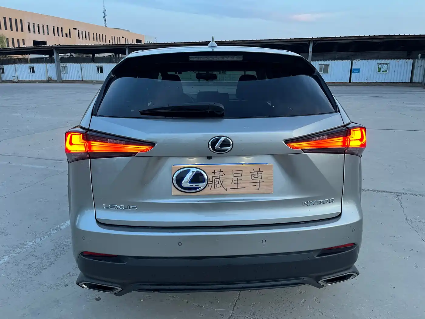 Lexus NX 2018 Model 300 FWD Fengxing Edition фото 15
