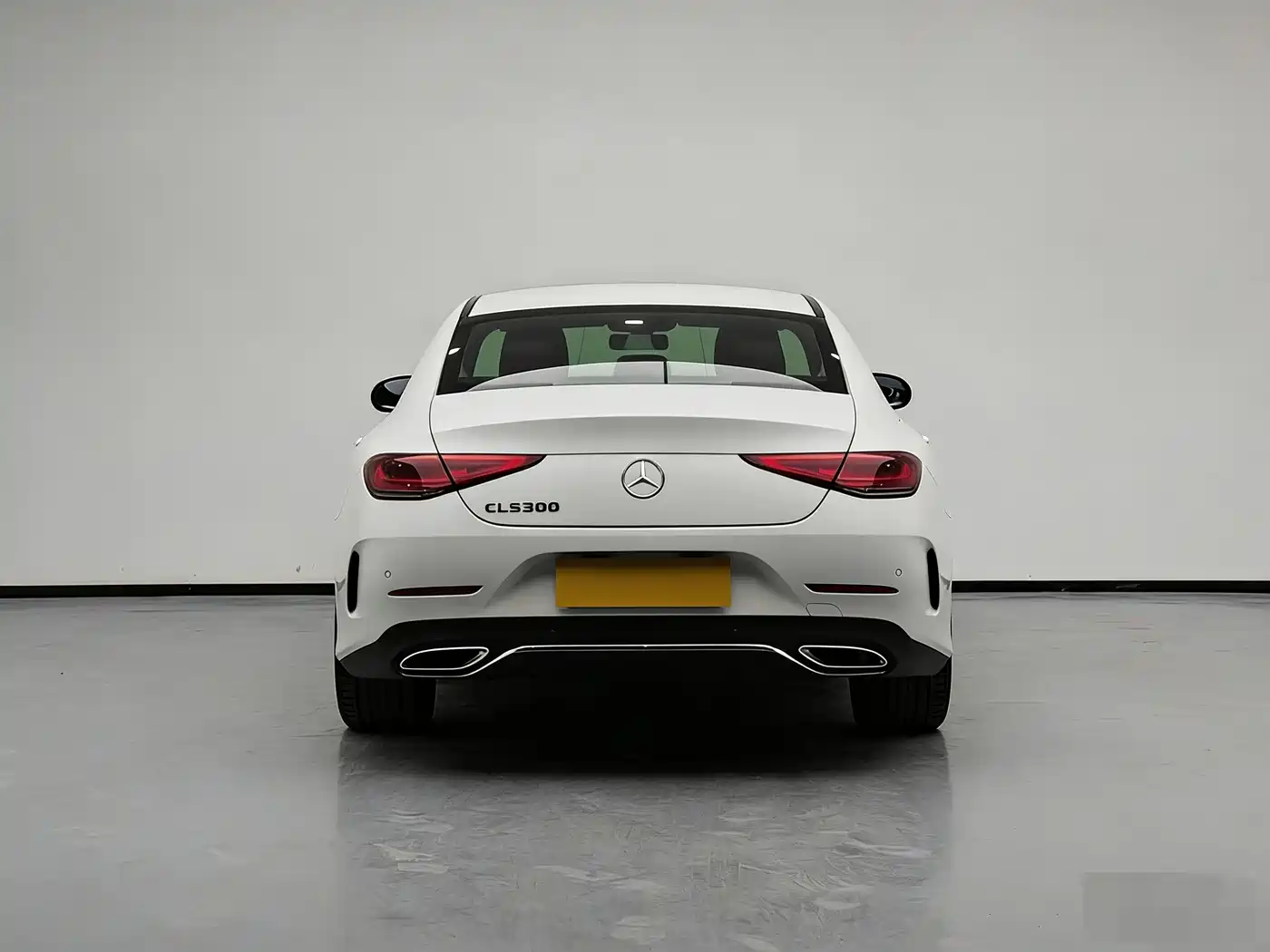 Mercedes-Benz CLS 2021 CLS 300 Sport фото 6