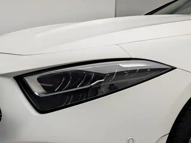 Mercedes-Benz CLS 2021 CLS 300 Sport фото 12