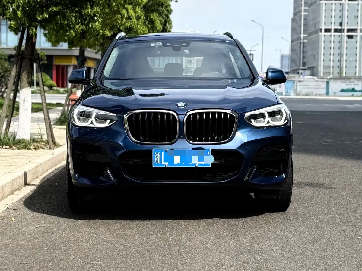 BMW X3 2019 xDrive30i Leading M Sport Package фото 2
