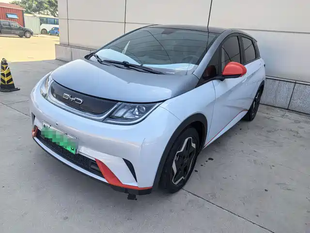 BYD Dolphin 2021 Model 405km Fashion Edition