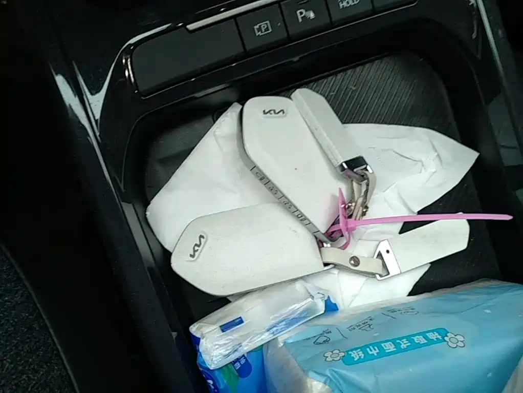 Kia EV5 2023 2024 530 Land