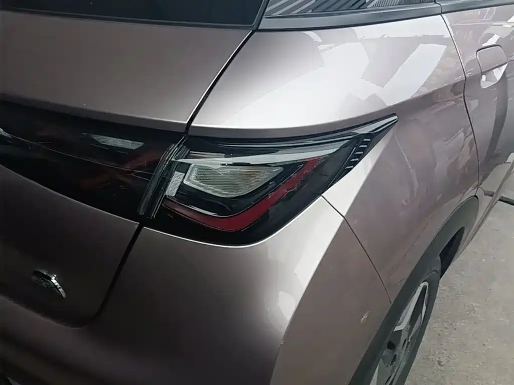 BYD Dolphin 2021 Model 405km Fashion Edition фото 8