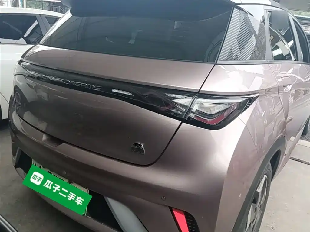 BYD Dolphin 2021 Model 405km Fashion Edition фото 6