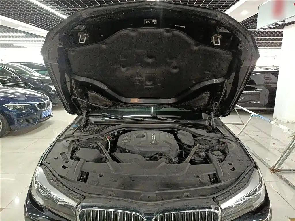 BMW 7 Series 2018 730Li Leading Type M Sport Package фото 10